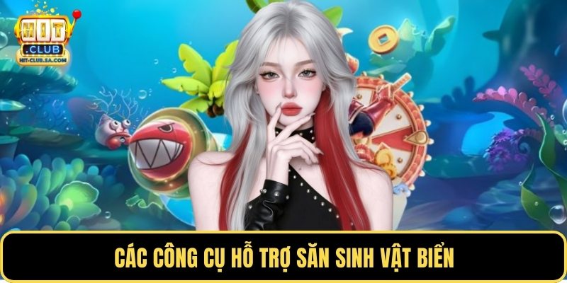 Các công cụ hỗ trợ săn sinh vật biển